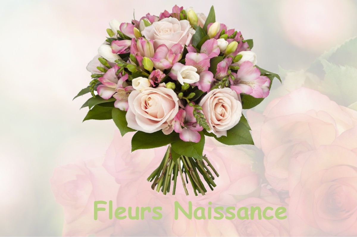 fleurs naissance ONDREVILLE-SUR-ESSONNE