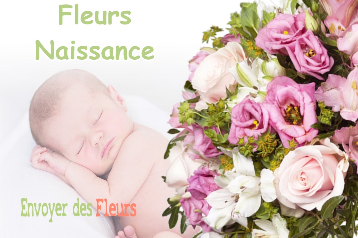 lIVRAISON FLEURS NAISSANCE à ONDREVILLE-SUR-ESSONNE